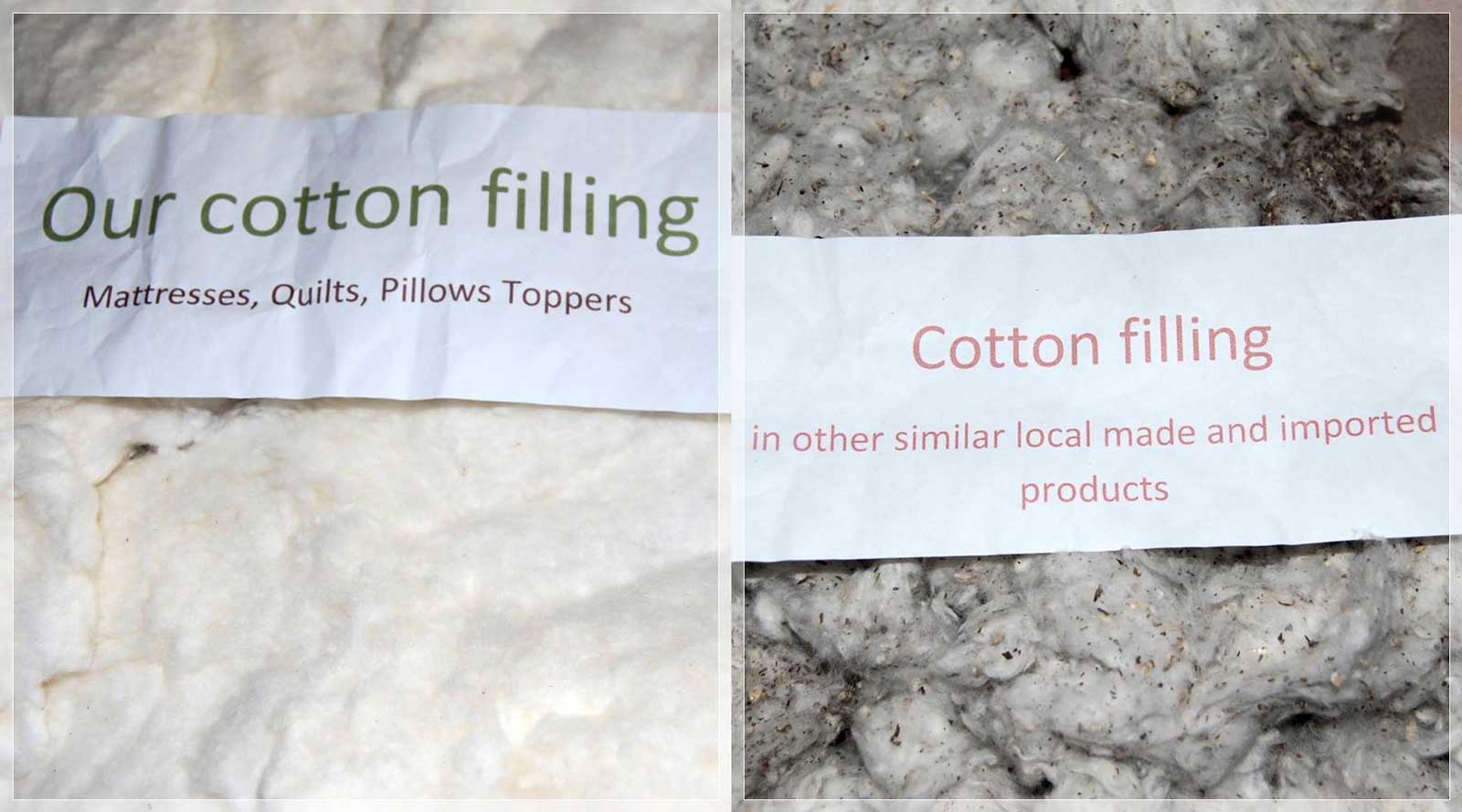 comparing-cotton-pillow-fillings