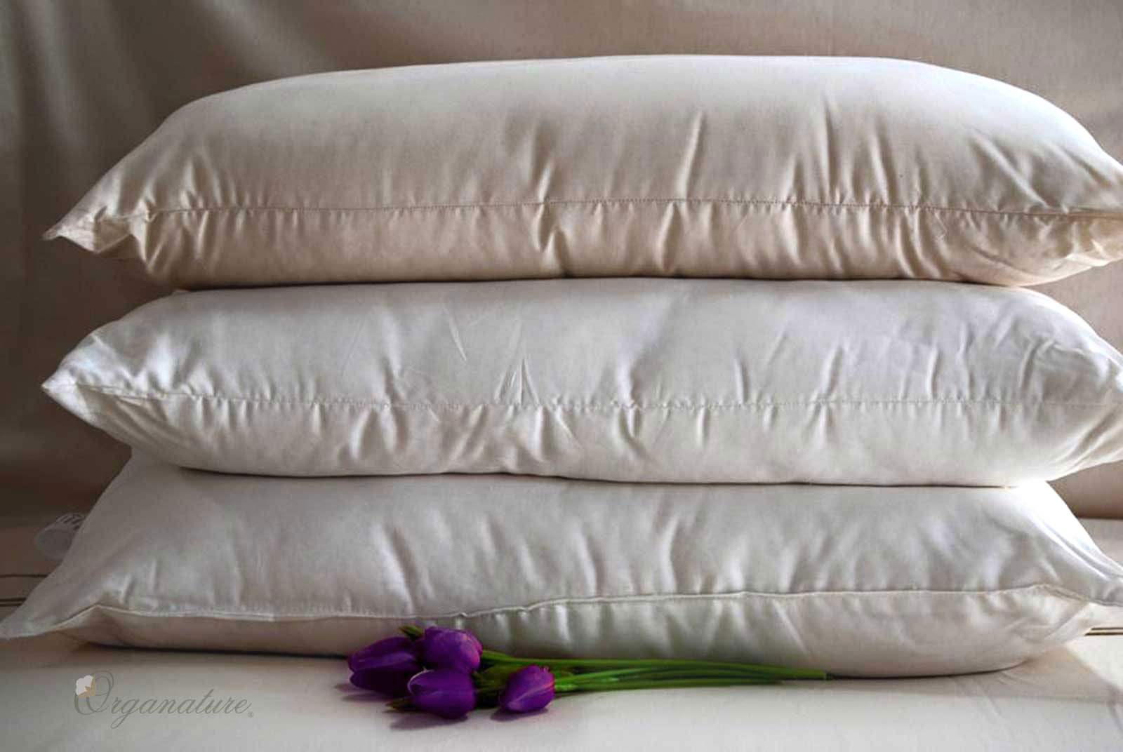 organic-cotton-filled-and-covered-pillows